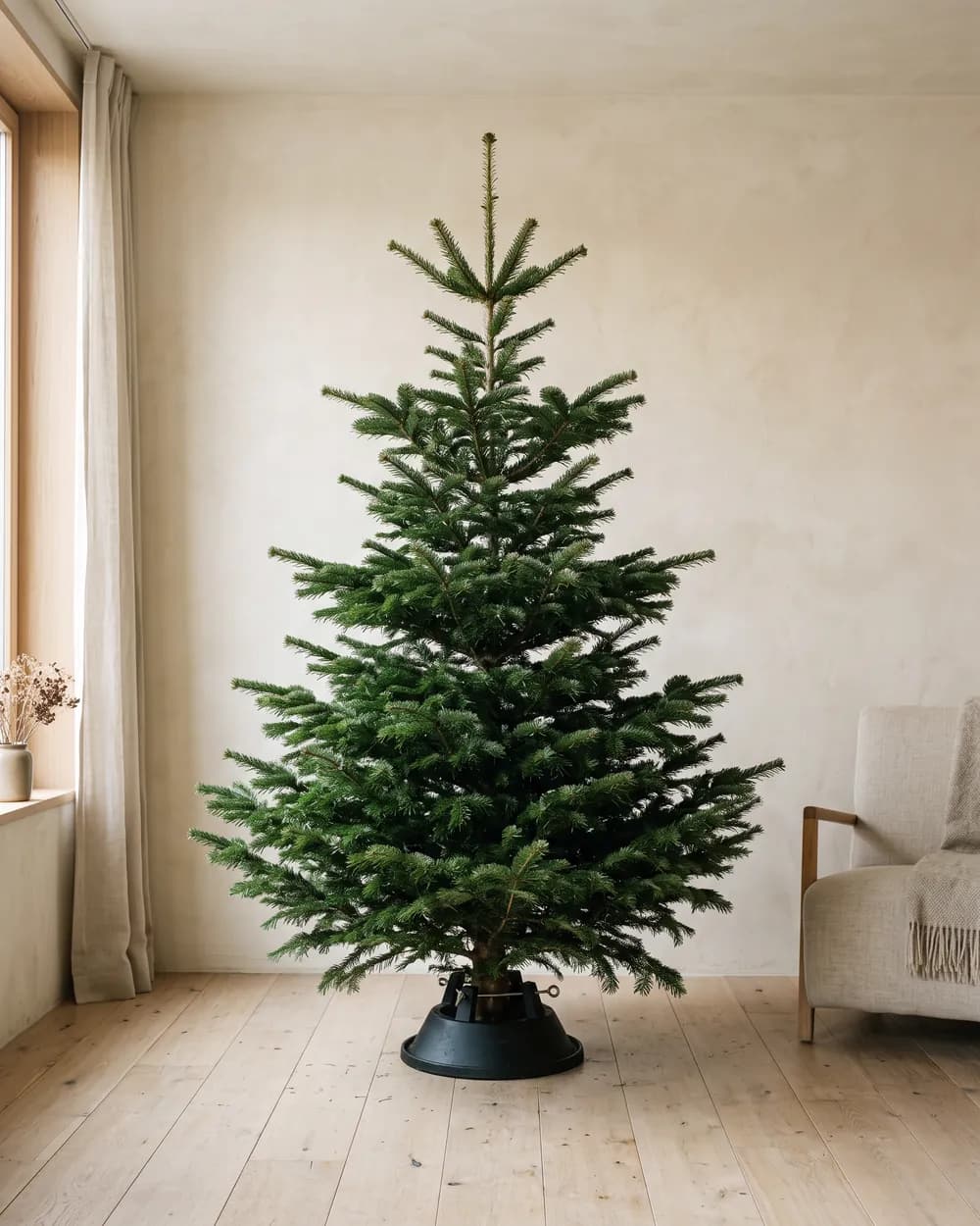 Statige Nordmann-kerstboom van 175 tot 200 cm met brede onderste takken