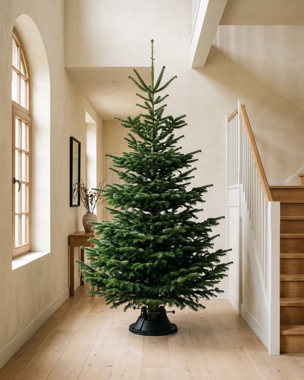 Grote Nordmann-kerstboom van 200 tot 250 cm, hoog en breed van vorm